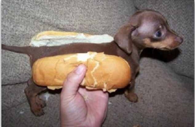 hotdoggy
